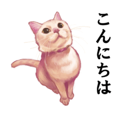 なむなむねこのエリンさん(敬語)