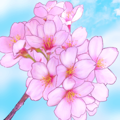 大人女子のピンク満開❤️桜　春の挨拶