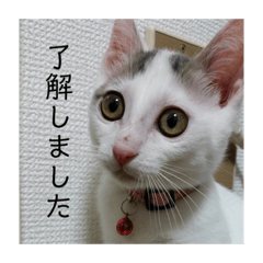 akiko_20220313001010