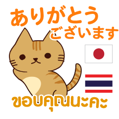 猫 : 感謝の毎日 日本語タイ語