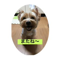 rinn_20220312213921