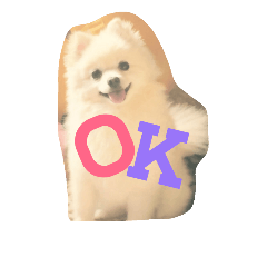 pomepomeFran