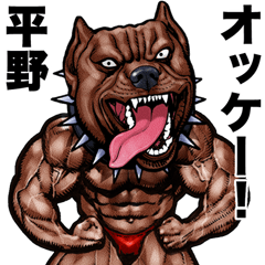 Hirano dedicated Muscle macho animal