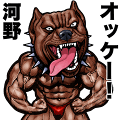 Kouno dedicated Muscle macho animal