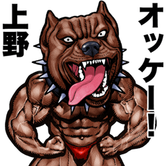 Ueno dedicated Muscle macho animal