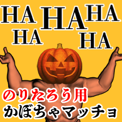 Noritarou Pumpkin macho