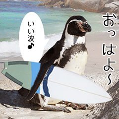 1173(いい波)サーフィン、ペンギンさん
