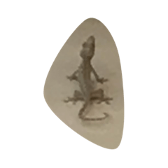Gecko.