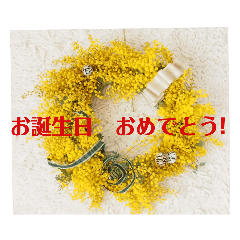 nanairo_20220314004122