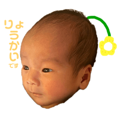 aoi_20220313153114