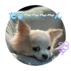 rina_20220313213019