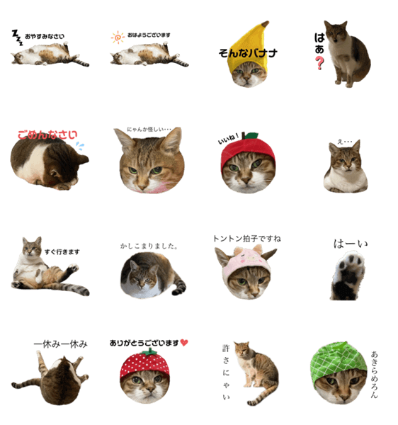 キジ白ネコのスタンプ Lineクリエイターズスタンプ Stamplist キジ白ネコのスタンプ Lineクリエイターズスタンプ Stamplist