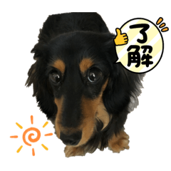 arisa_20220314000105