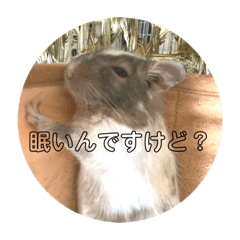 hikaru_20220313184337