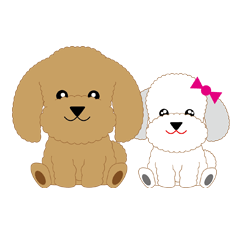 Cute Brown TOY Poodle Sticker
