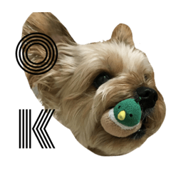 Sugahara inu