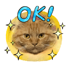 Panitpicha_20220313210006