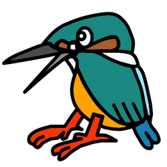A kingfisher Kiki