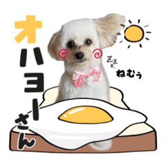 yuka_20220313211527