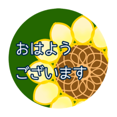many colorful flower stickers