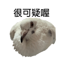 George_20220313224644 – LINE stickers | LINE STORE