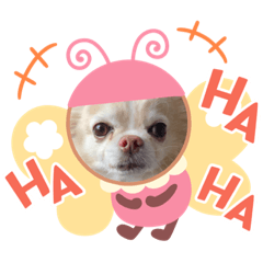 tomomi_20220314144419