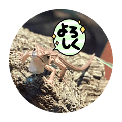 yuto_20220313191946