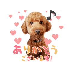 pokiko_20220313221310