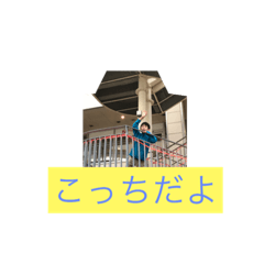 shunsticker
