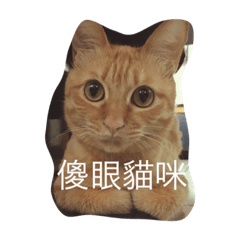 蹦姐的日常