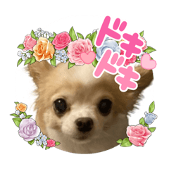 rei_20220315034901