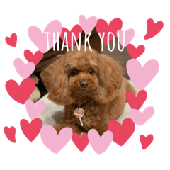 Nanami_20220315003620