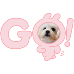 hana_20220315110440
