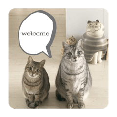 yoko.y_20220314213331