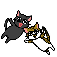 RAN and KAI, a duo of cats.1