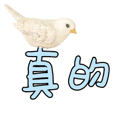 常用大字對話可愛鳥雞鴨106