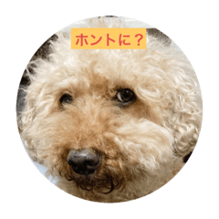 miki_20220314215209