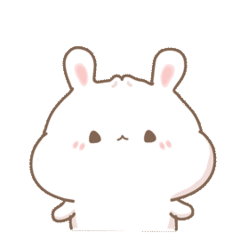 Rabbit Bokji