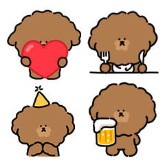 Poker face brown poodle