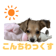 naho_20220315124604