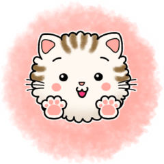 Cute Fluffy Cat Daily Sticker.
