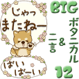 【Big】ちゃちゃ丸 12『ボタニカル風』