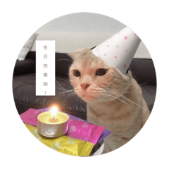 旺來說話了