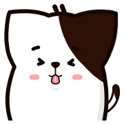 Coco The Plump Cat