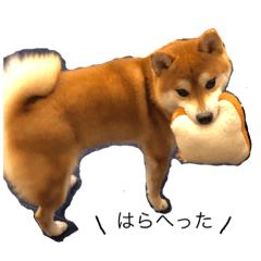 yuka_t
