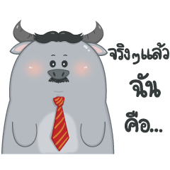 I am Thai buffalo