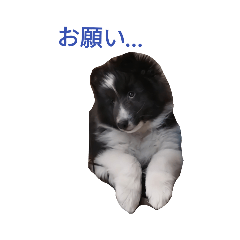 mizuki_20220315195402