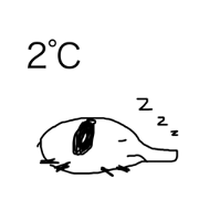 kazappa_20220315223040