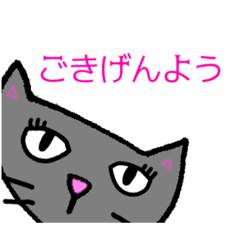 お嬢様言葉の黒いねこ