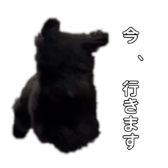 napi_20220315230741
